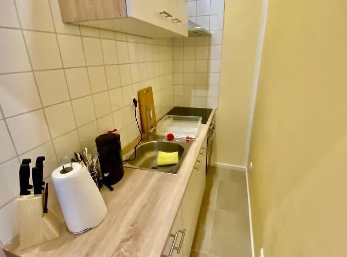 公寓 Business Near Neuss/duesseldorf 科尔申布罗赫